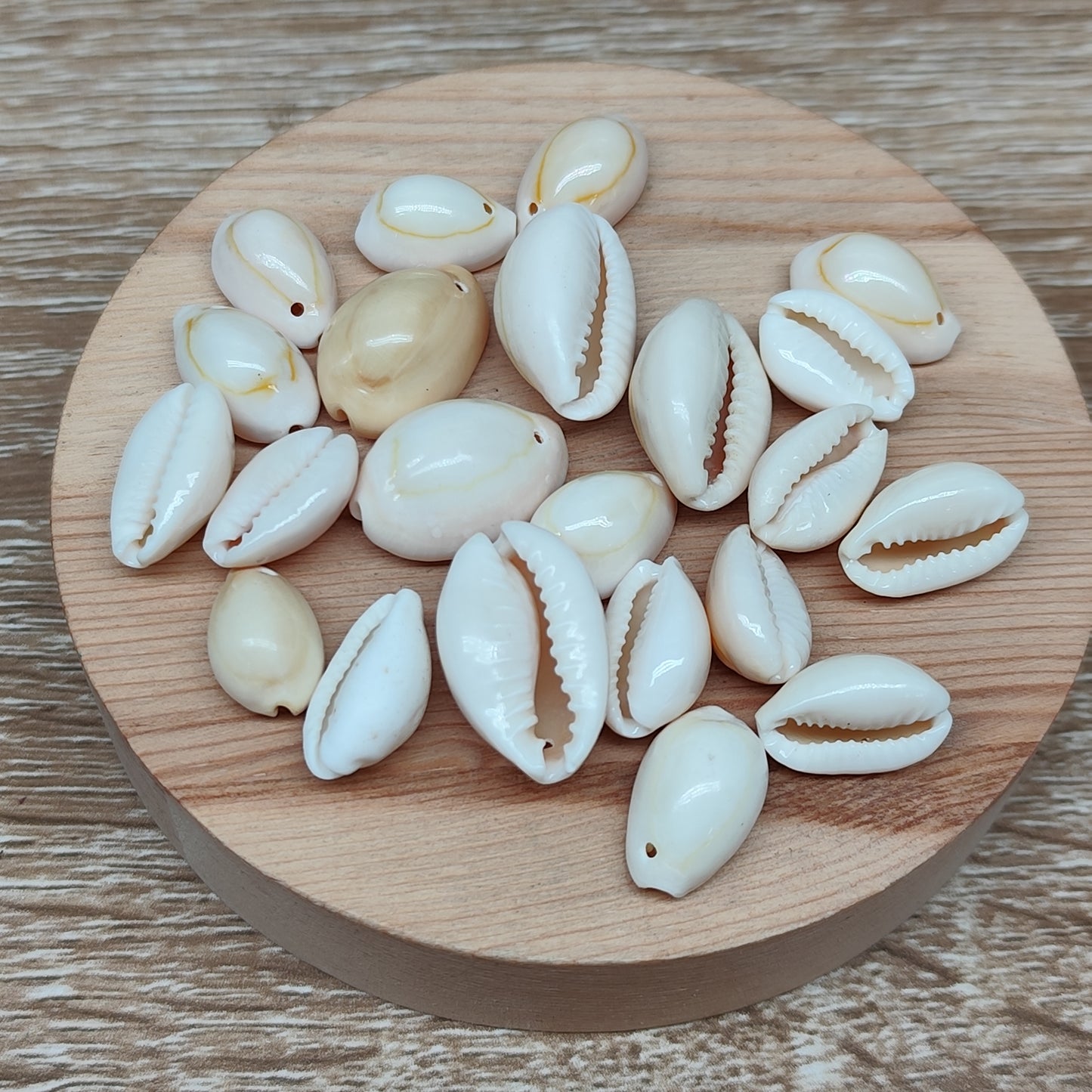 Coquillage – pendentif naturel – lot de 20
