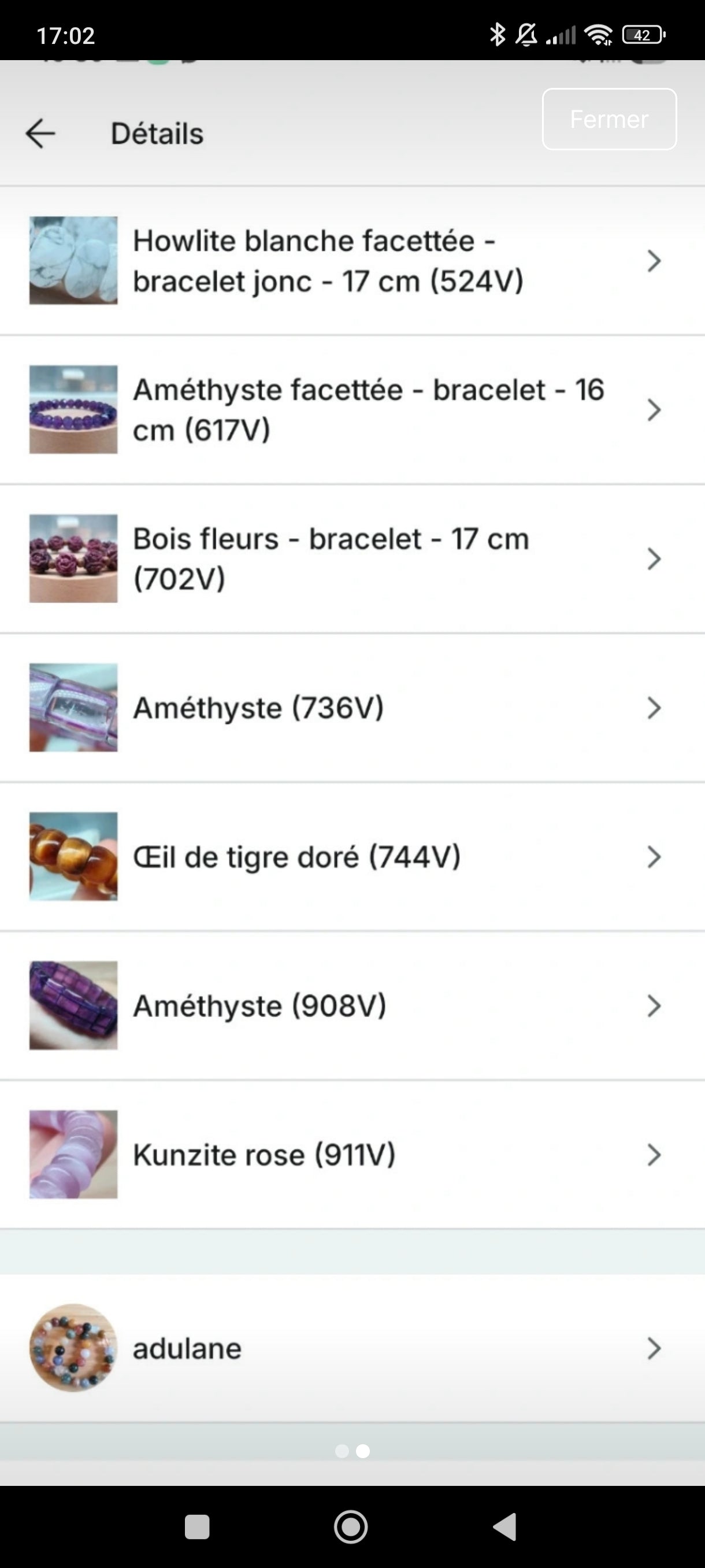 Lot pour Stepheloa