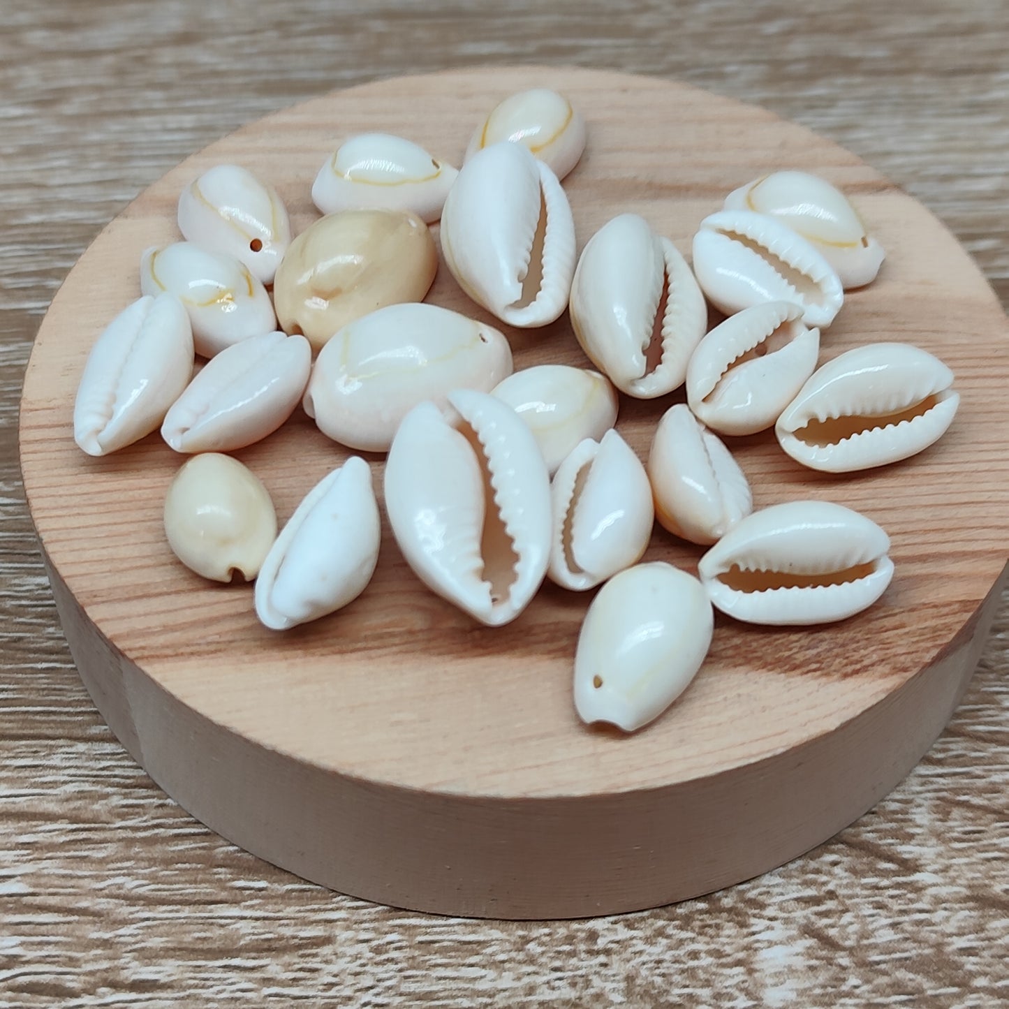 Coquillage – pendentif naturel – lot de 20
