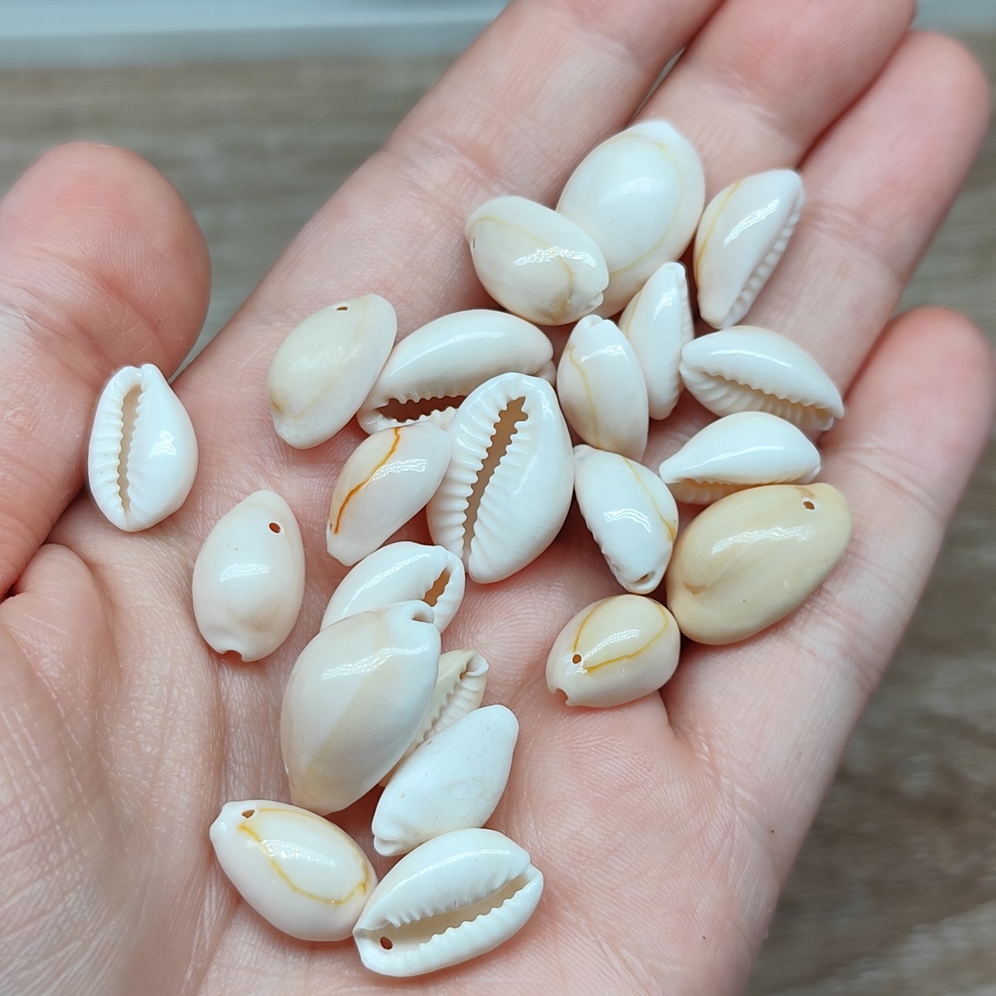 Coquillage – pendentif naturel – lot de 20